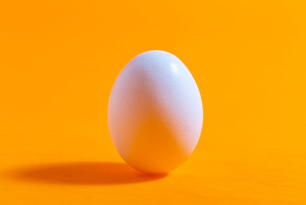 White egg isolated on orange background. Concept photo