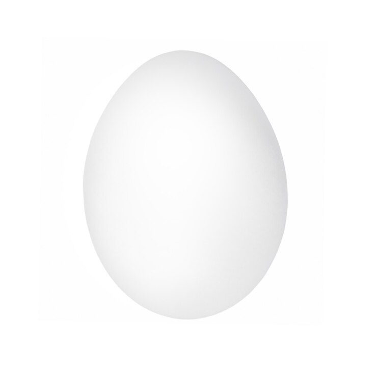 Photo white egg isolated on white background. one chicken egg closeup.