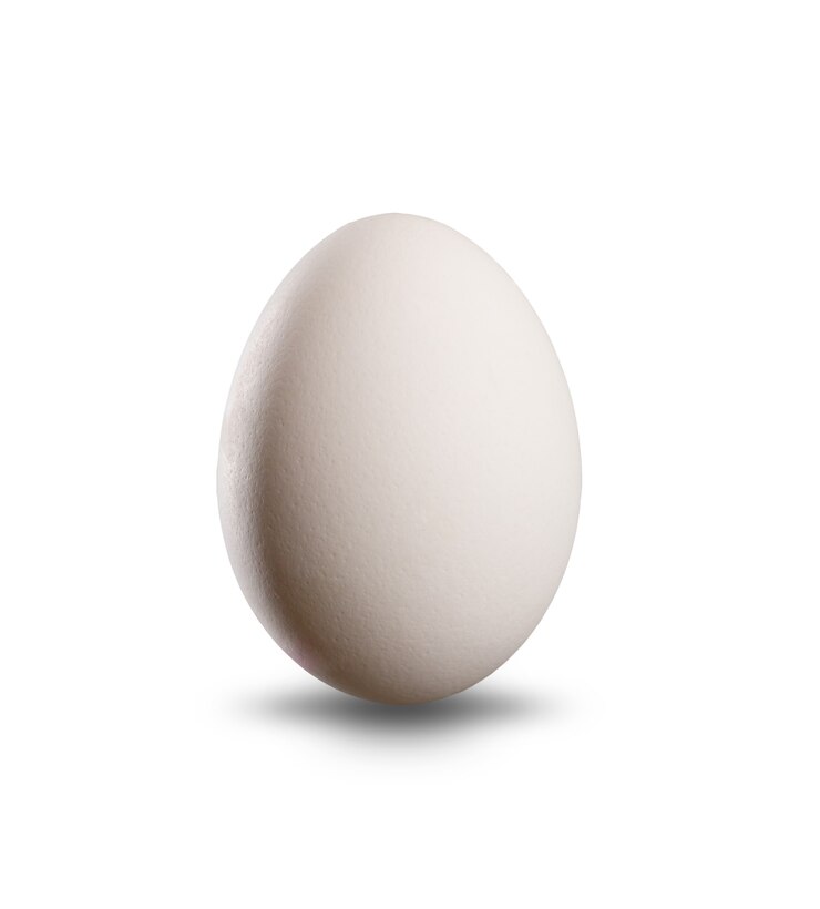 Photo white egg isolated on white background