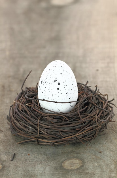 White egg in the nest