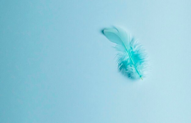 White eggs and decorated with feather on a blue background Space for text Top view