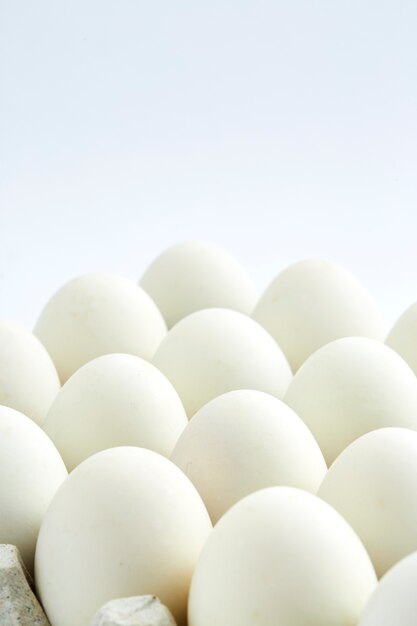 white eggs on a white background