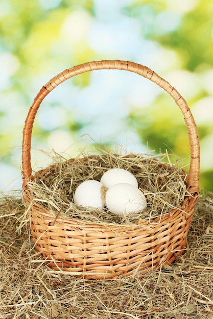 White eggs in a wicker basket on hay on green background