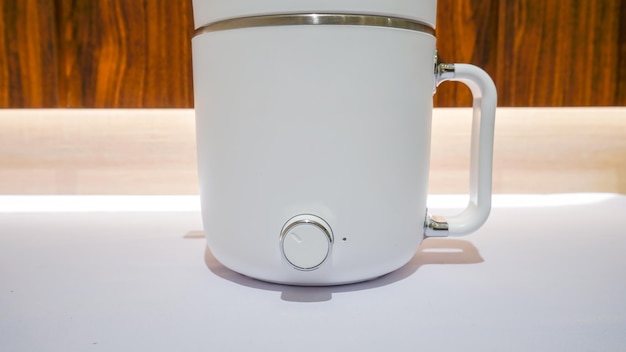 White Electric Steamer