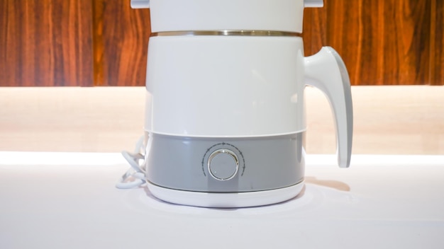 White Electric Steamer