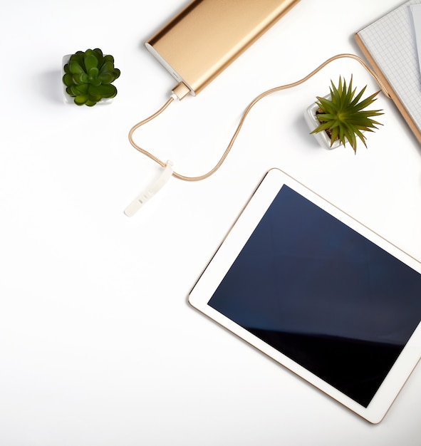 White electronic tablet with a blank black screen, near pots with green plants