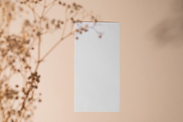 White empty envelope with dried flowers on a beige background with shadow