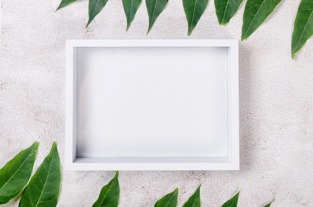 White empty frame and branch with leaves on conkrete table