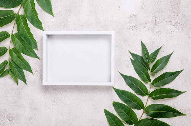 White empty frame and branch with leaves on conkrete table