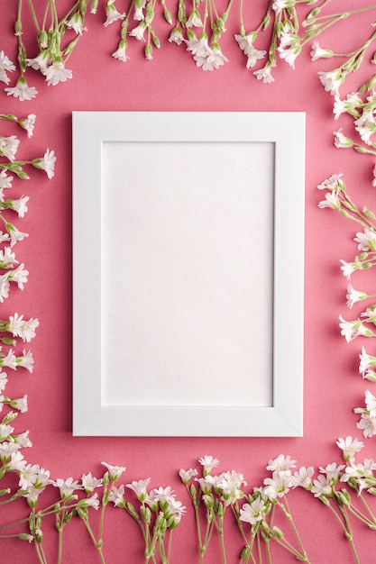 White empty photo frame with mouse-ear chickweed flowers on pink purple table, top view copy space