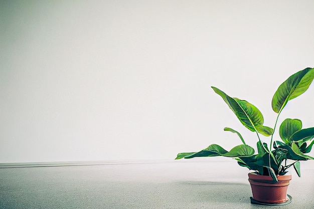 White empty room with plant Room interior 3d illustration