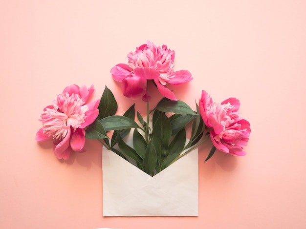 White envelope with pink peonies inside on a pink background. Template for newsletters and other mail designs.