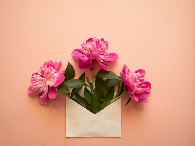 White envelope with pink peonies inside on a pink background. template for newsletters and other mail designs.