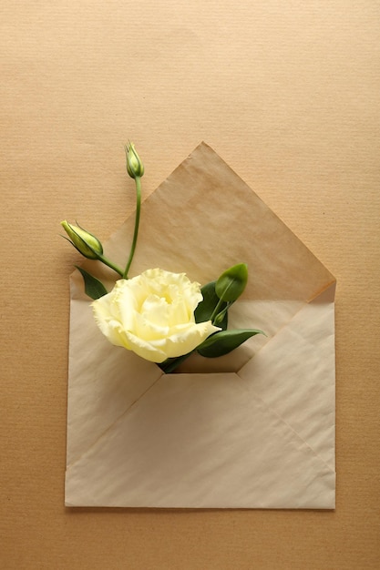 White eustoma in envelope on beige background