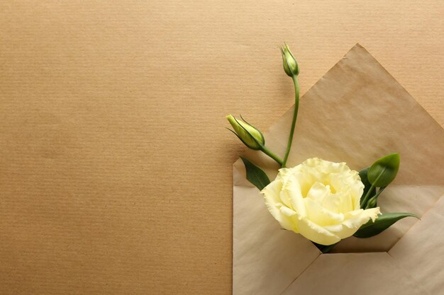 White eustoma in envelope on beige background