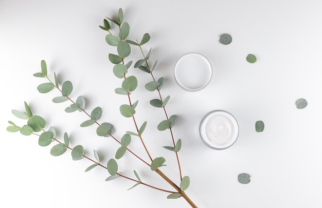 white face cream and eucalyptus branch