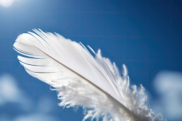 white feather blowing in the wind against blue sky