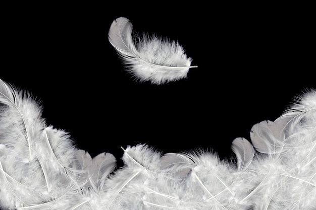white feather falling in the air.
