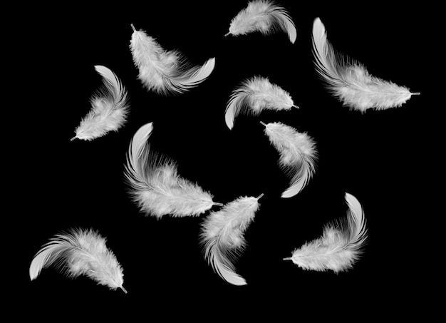 white feather falling down in the air, 