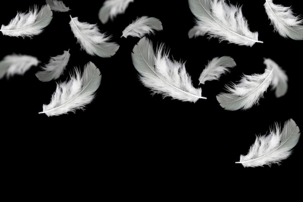 white feather falling down in the air, 