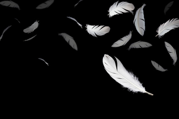 white feather falling down in the air, 