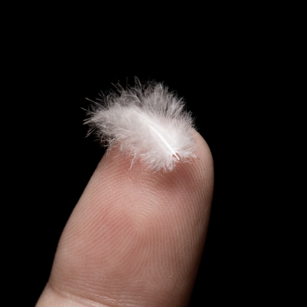White feather on the fingers