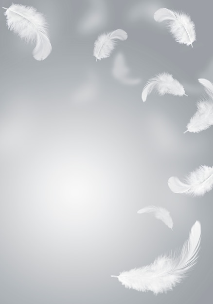 Photo white feather floating in the air. grey background.