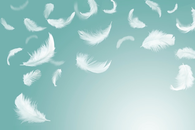 white feather floating in the air.