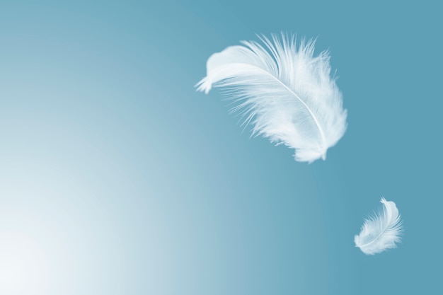 white feather floating in the sky.