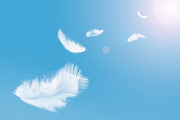 White feather floating in the sky