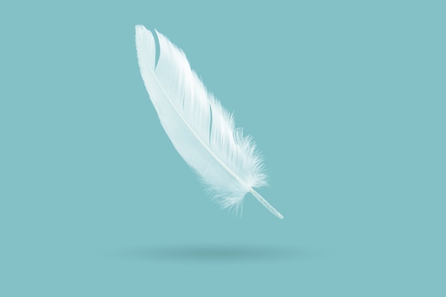 White feather floating