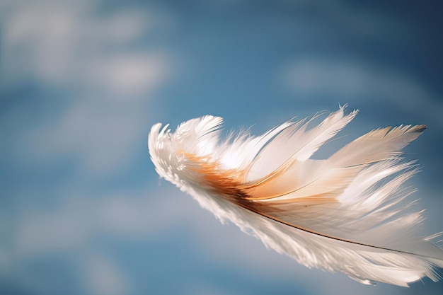 White feather flying in windy sky with blue and orange tones