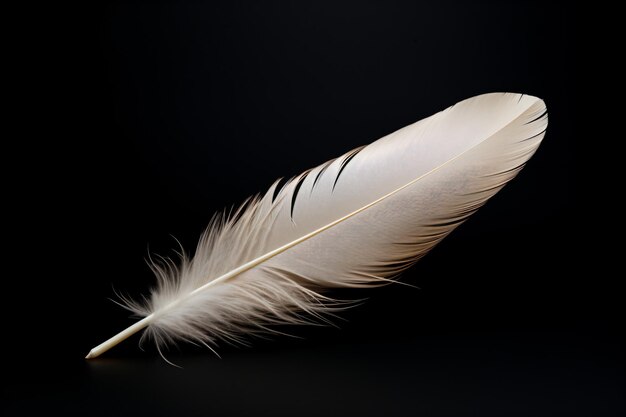 a white feather is laying on a black surface