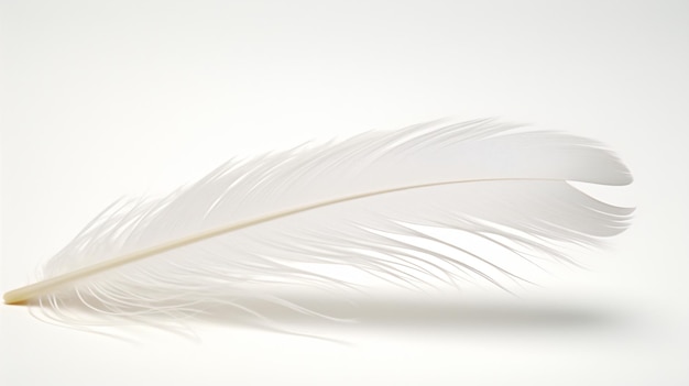 a white feather is laying on a white surface