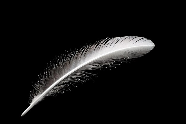 Photo a white feather is shown in the dark