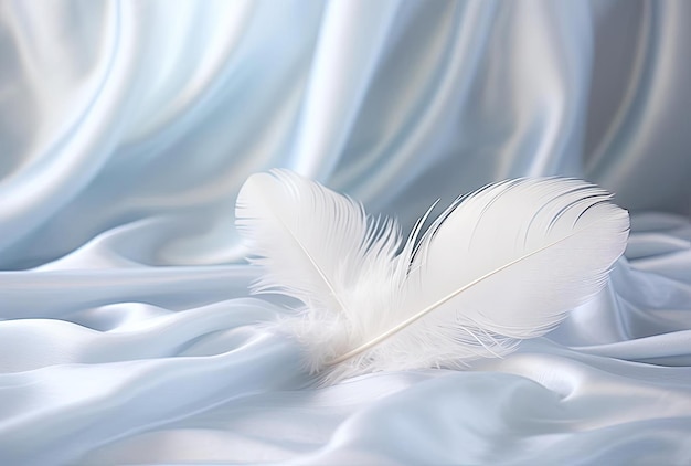白い羽根が横に横たわっている白い羽根