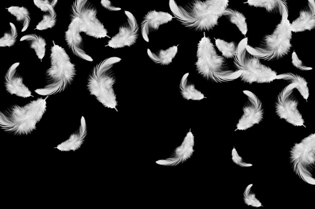 White feathers falling in darkness.