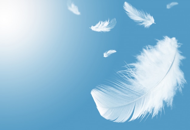 White feathers floating in a blue sky.