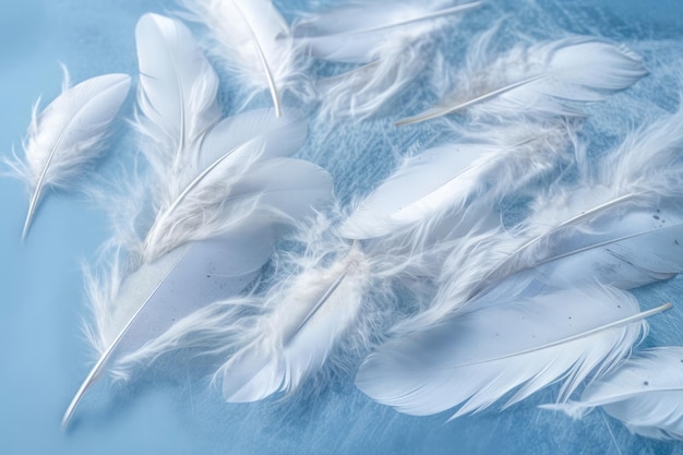 White feathers floating in a blue water