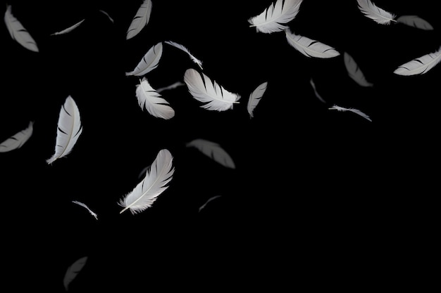 White feathers floating in the dark.