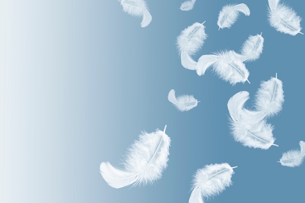 white feathers floating in the sky.