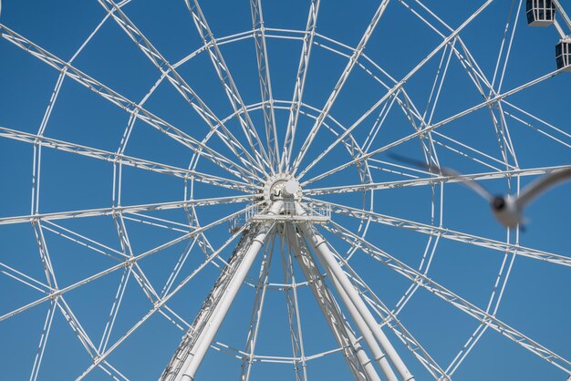 White ferris wheel on Steel Pier in Atlantic City on New Jersey coastline