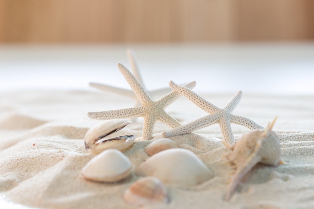 Белая пальца морская звезда и ракушки на белом песке.