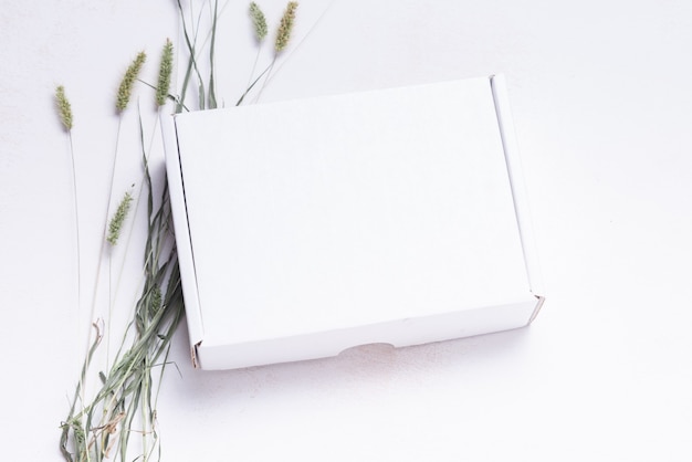 White flat cardboard carton box decorated with fresh leaves, top view