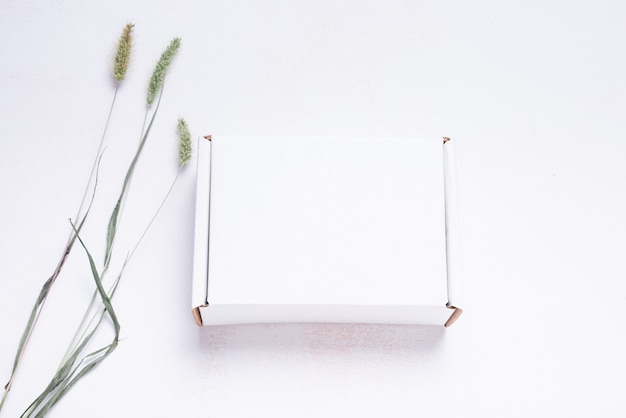 White flat cardboard carton box decorated with fresh leaves, top view