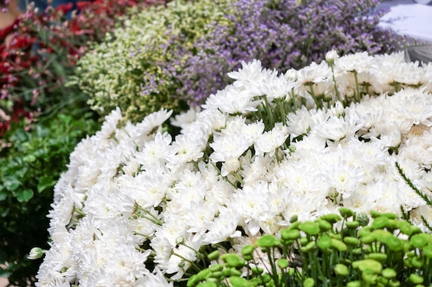 다른 사람들과 흰 꽃 꽃다발