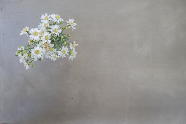 White flower on concrete, top view, copy space