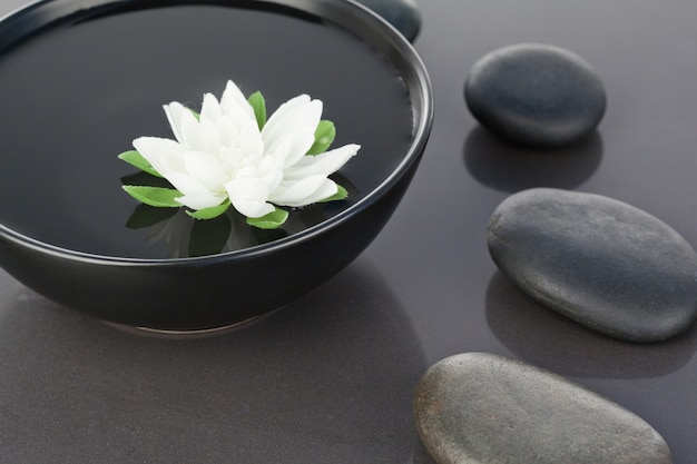 White flower floating in a black bowl surrounded by black pebbles