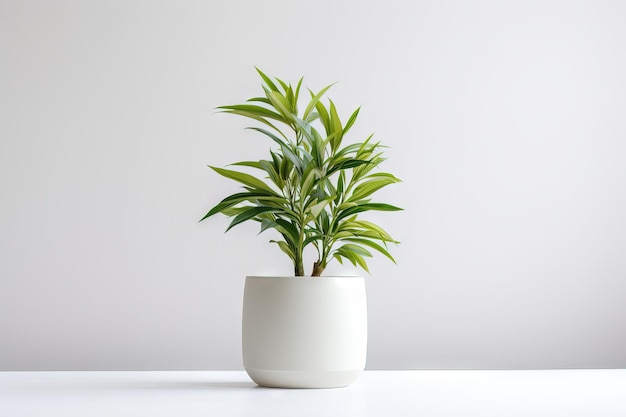 White Flower pot with Green plant Generative AI