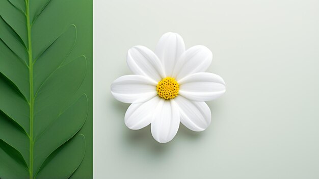 A white flower sitting on top of a green leaf